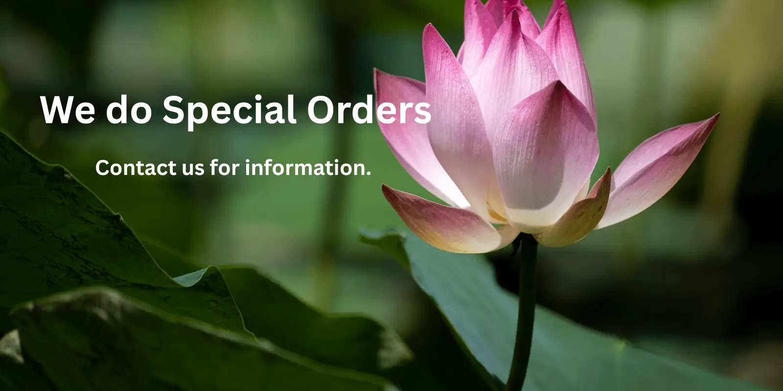 Shop Local, Shop Small!-3